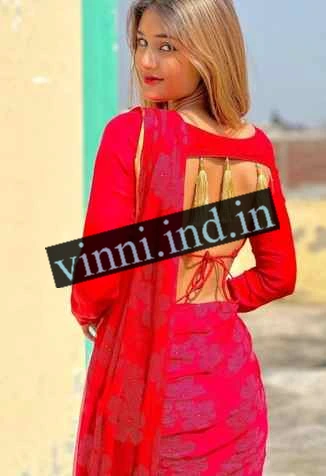 Ludhiana call girl number